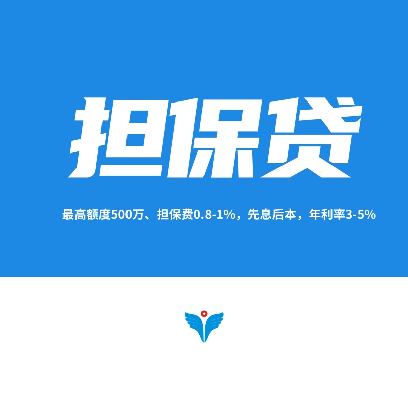 政策担保贷